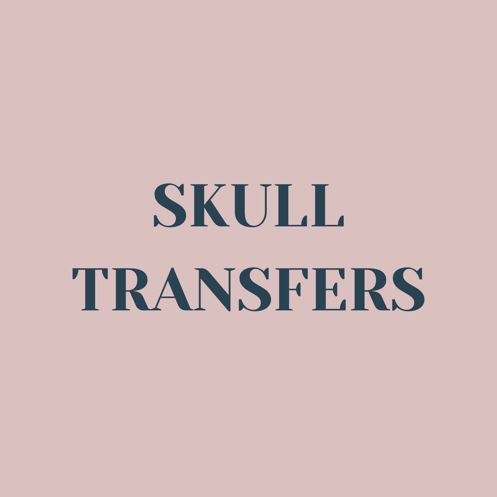 All Skull Transfers