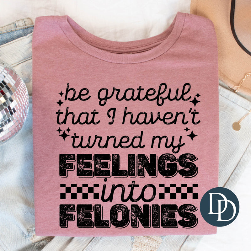 Be Grateful I Haven't Turned My Feelings Into Felonies (Black Ink) *Screen Print Transfer*